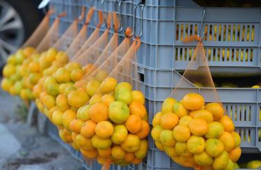Mandarine preplavile tržište, ali zarada je mizerna: Proizvođači razmišljaju o odustajanju